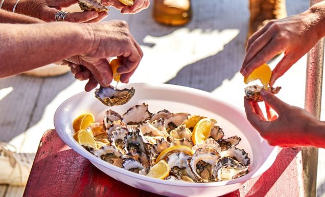 Patrons enjoying oysters onboard Captain Sponge’s Magical Oyster Tour