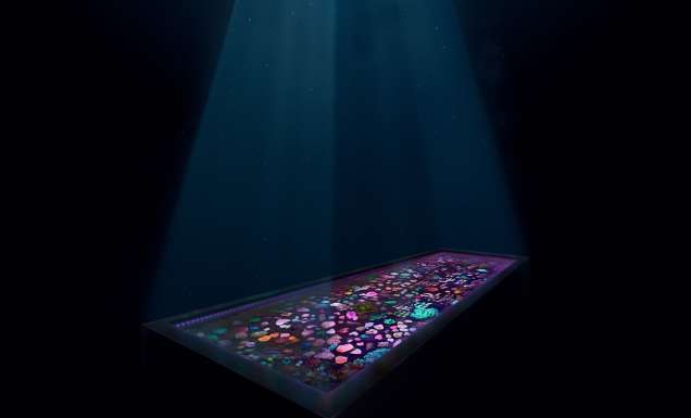 the Forever Reef Project coral facility