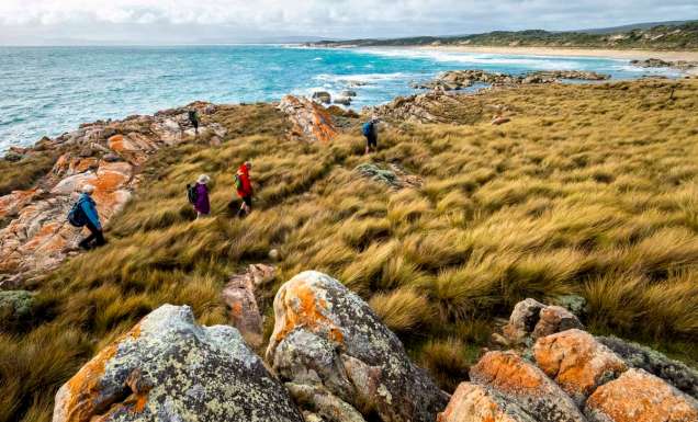Walkers on Tasmanian Expeditions Flinders Island Walking Advenure in Comfort