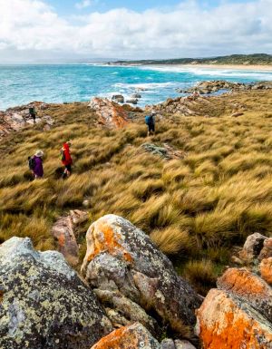 Walkers on Tasmanian Expeditions Flinders Island Walking Advenure in Comfort