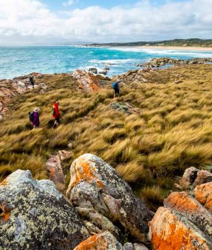 <p><strong>Tasmania</strong> is now <i>officially home to 6</i> of <strong>Australia’s</strong> best hikes</p>
