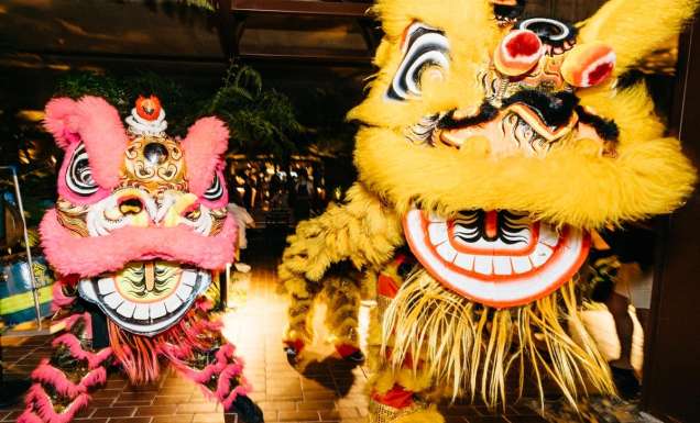 Lunar New Year lion dance at Southside, Brisbane