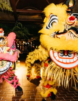 Lunar New Year lion dance at Southside, Brisbane