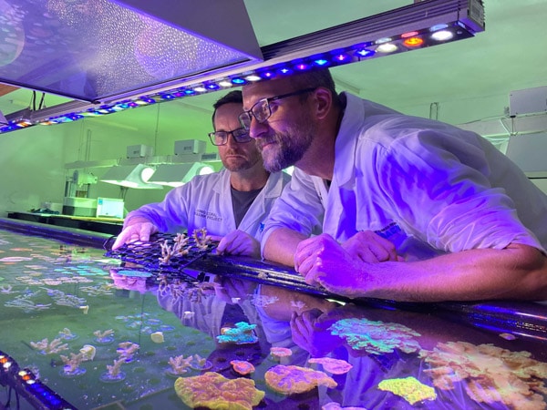 Paul Myers and Cameron Bee inspecting corals in the facility