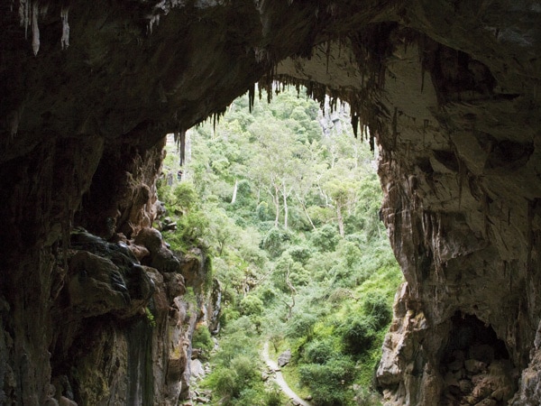 a huge hole in Jenolan Caves in the Blue Mountains