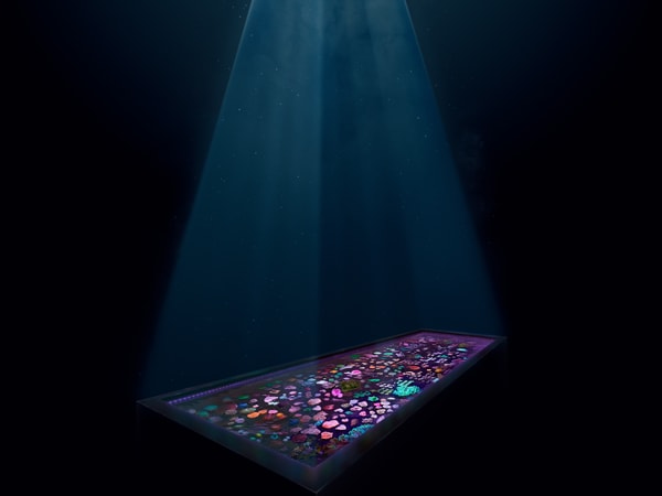 the Forever Reef Project coral facility