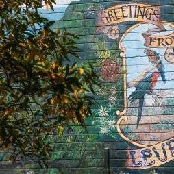 Leura, NSW