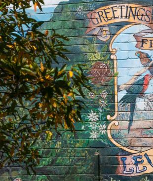 <p><i>12 lovely things to do</i> in <strong>Leura</strong></p>
