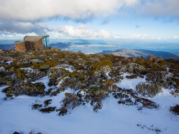 winter in Mt Wellington