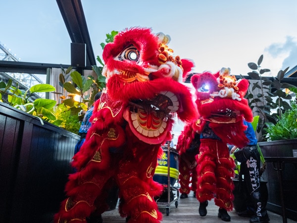 lion dancers at Stanley, Brisbane