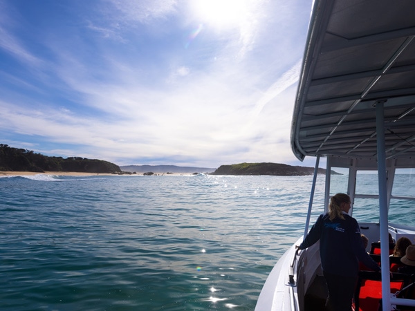 whale watching tour boat, Sapphire Coastal Adventures