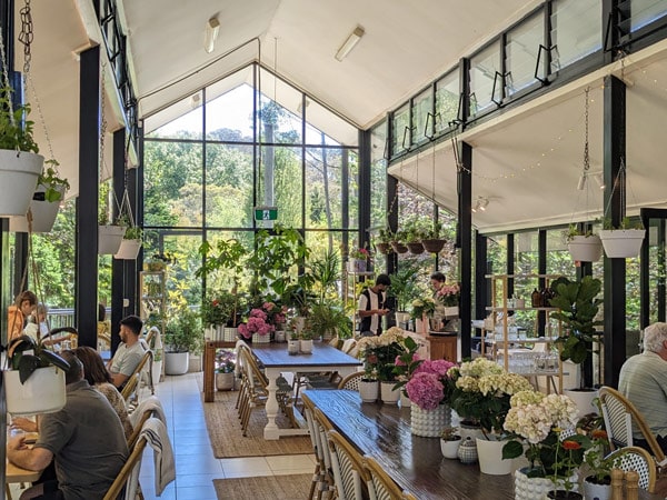 plants and flowers inside Sorensen's Glasshouse