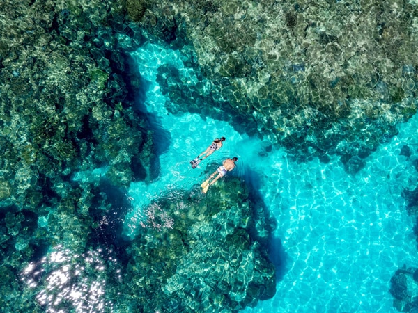 Great Barrier Reef, Qld