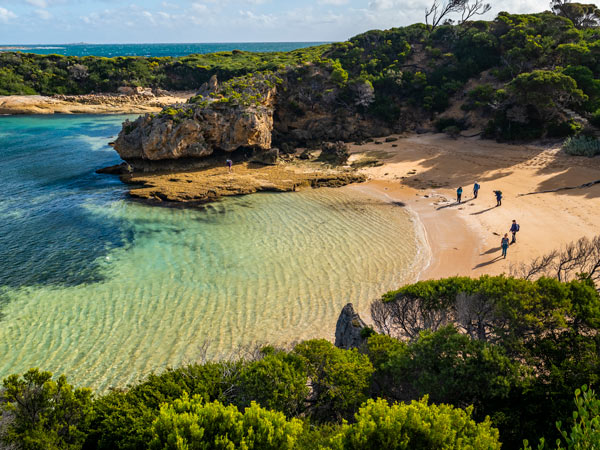 Walk to Stacky's Bight for a swim and snorkel.