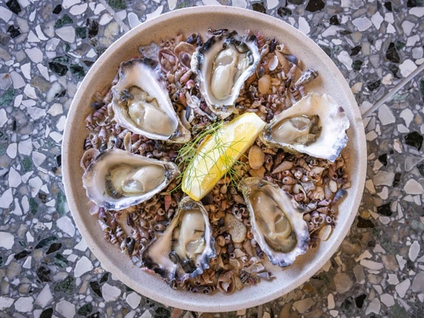 Overhead view of Wapengo Rocks oysters at Mimosa Wines.
