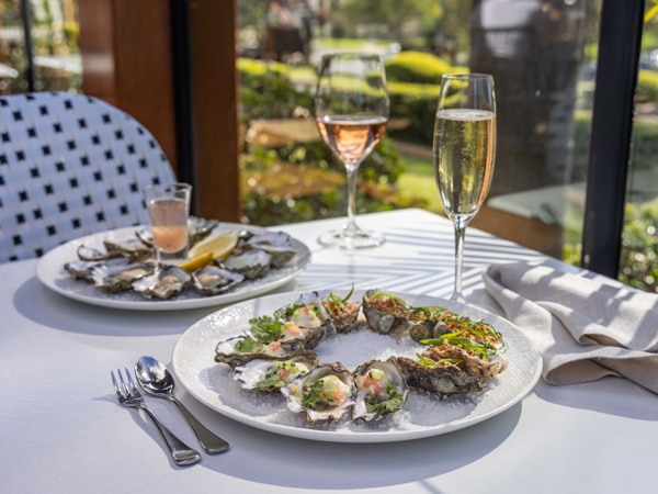 a plate of oysters at Wheelers Seafood Restaurant