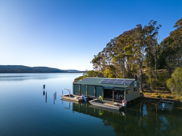 the Wonboyn Rock Oysters on the banks of Wonbyn Lake on the Sapphire Coast