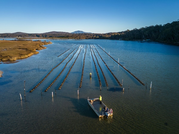an aerial view of the beautiful Wonbyn Lake on the Sapphire Coast
