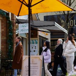 shops on the main street of Leura