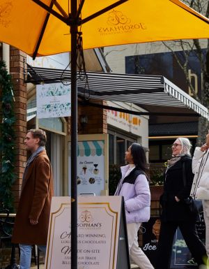 shops on the main street of Leura