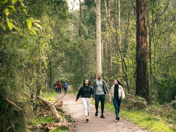 three people walking along the 1000 Steps Walk, Ferntree Gully