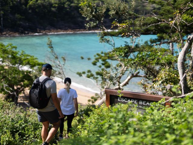 escape beach hamilton island