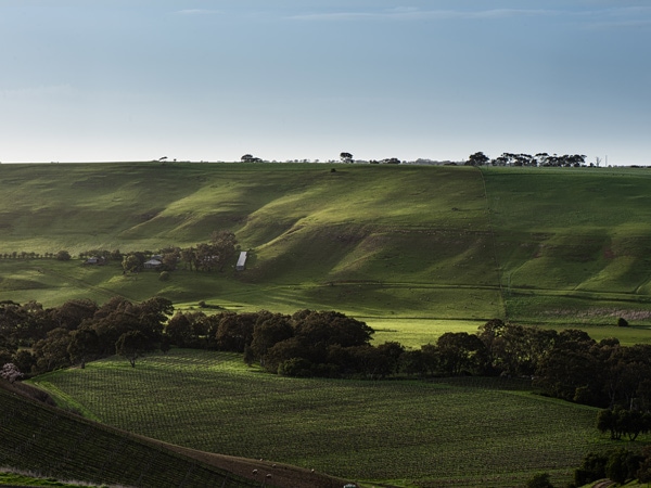 the green landscape of Moorabool Valley at Clyde Park