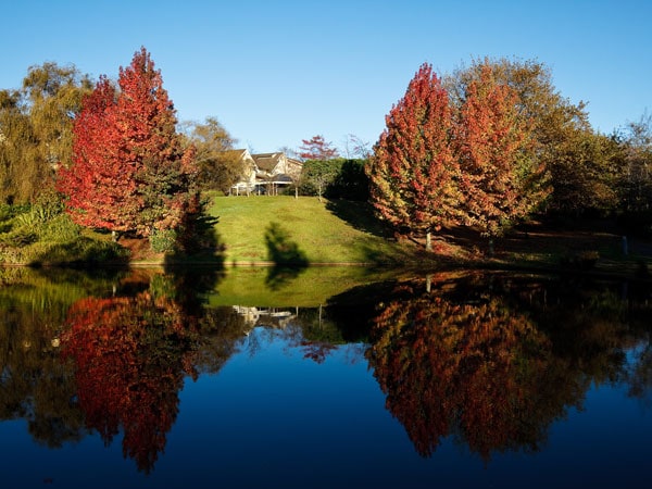 Autumnal trees surround the Fairmont property in Leura