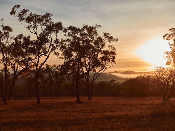sunrise over Mt Mulligan Lodge