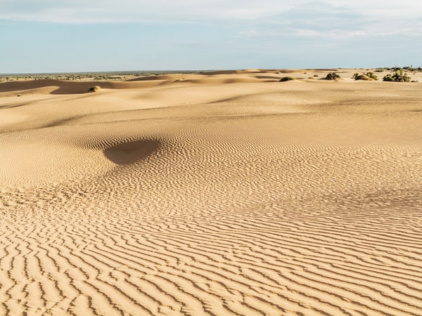 a desert landscape in Mungo National Park
