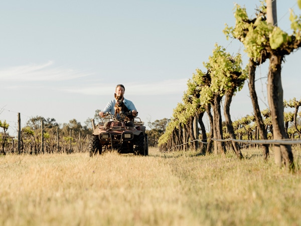 Don with Gracie the kelpie on a tractor at Restdown Wines, Barham