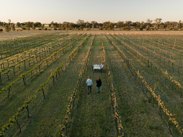 two people standing in the middle of a vineyard at Restdown Wines, Barham