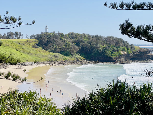 Horizontal high angle landscape photo of popular travel destination, Main Beach, Yamba, with people swimming, breaking waves, Pandanus palm trees, coastal scrub forest and Norfolk Pine trees growing on the grass areas above the beach.
