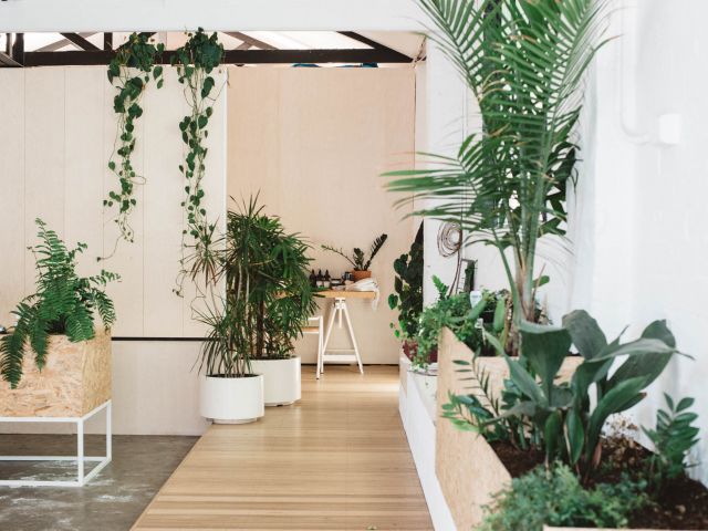 lush greenery at Little Company, Collingwood