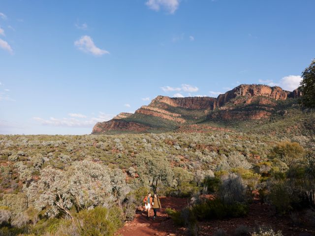 Rawnsley Park Station, Flinders Ranges