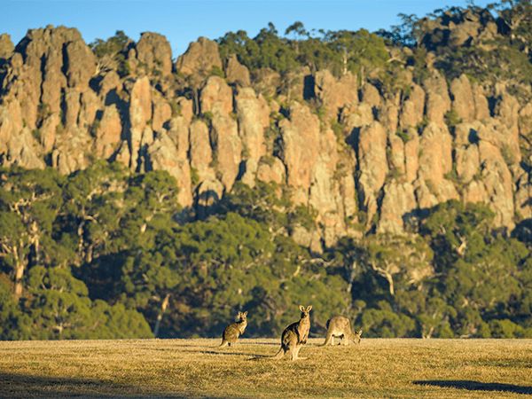 Hanging Rock Summit Walk