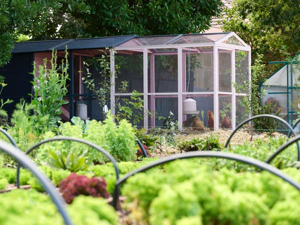 Chickens and onsite kitchen garden at Kyah