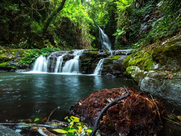 the Elabana Falls in Lamington National Park