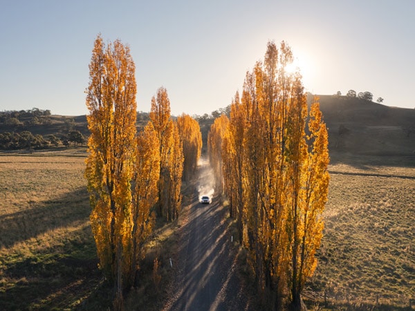 Car driving with autumn trees around