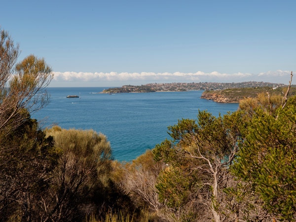 views across Sydney Harbour from Grotto Point