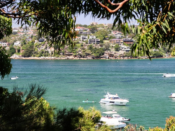 a scenic view from Spit Bridge to Manly walk