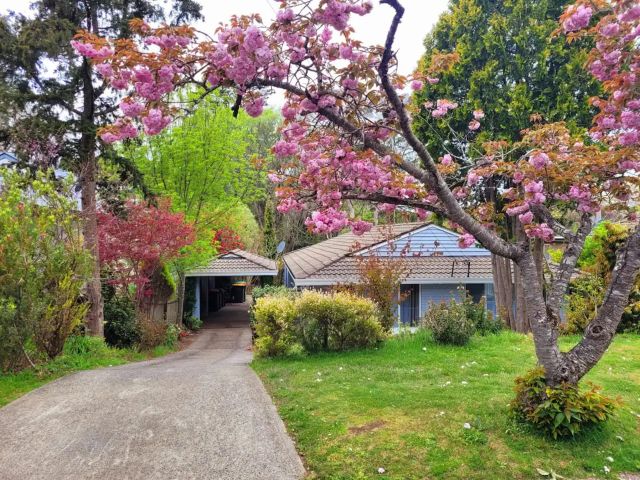Abbey House, Leura