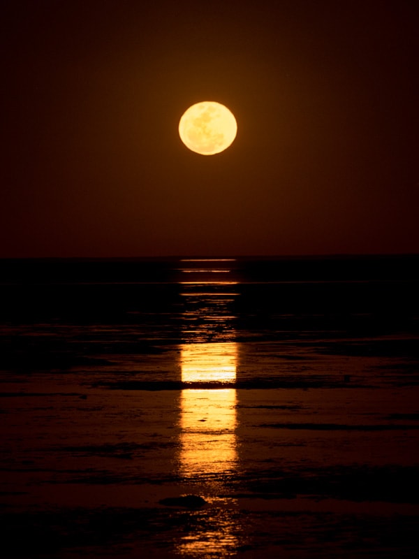 the Staircase To The Moon, Roebuck Bay