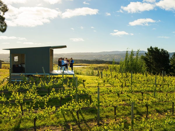 The Lane Vineyard in Adelaide