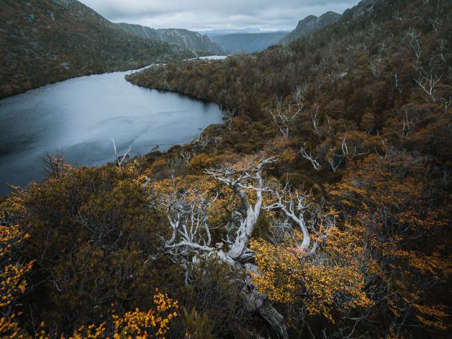 Cradle Mountain 