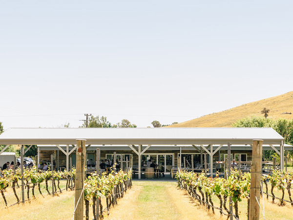 Four Winds Vineyard in Canberra, ACT