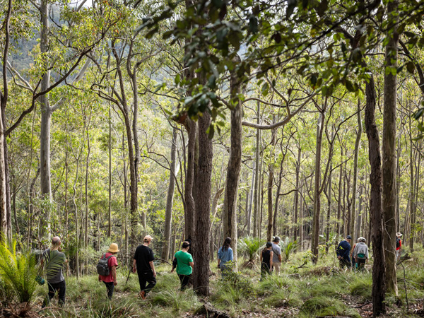 Make Good Festival in the Shoalhaven, NSW