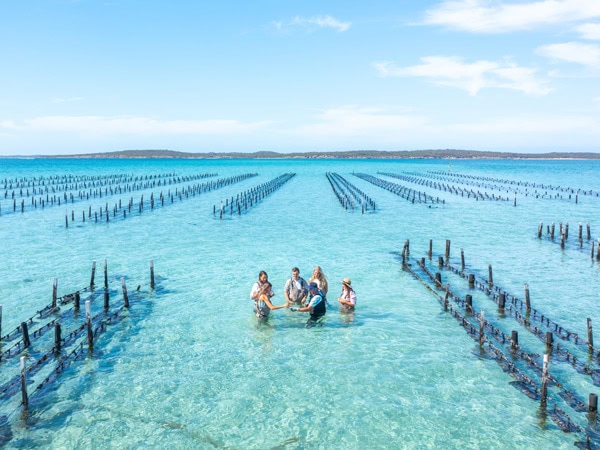 an oyster farm tour in the clear blue waters, Australia