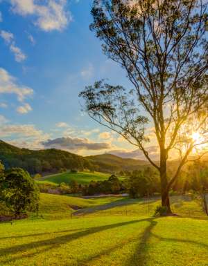 the scenic Orara Valley Tourist Trail, Coffs Coast
