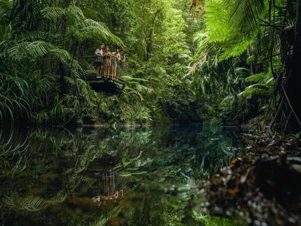 lush landscapes at Djiru National Park